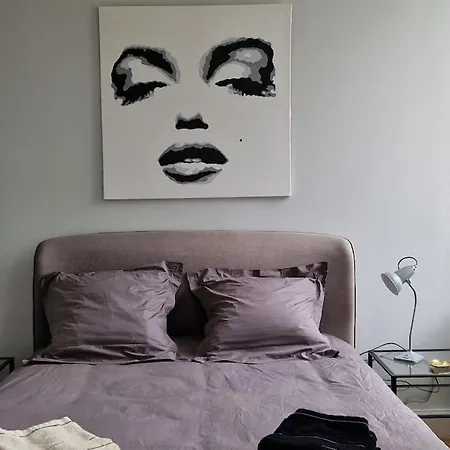 公寓 T3 Plein Centre Bagnères-de-Luchon